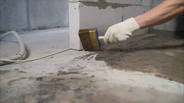 SJ Waterproofing Pros Crawl Space Encapsulation coverage map for Rushford, NY and surrounding area